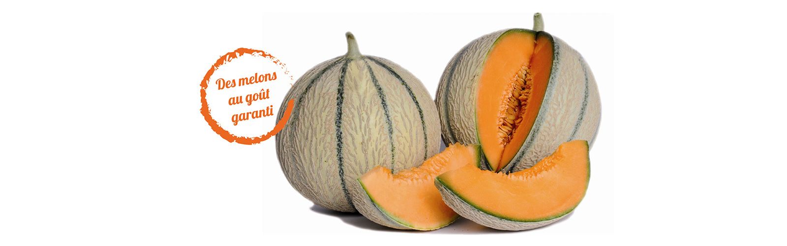 Des melons au goût garanti